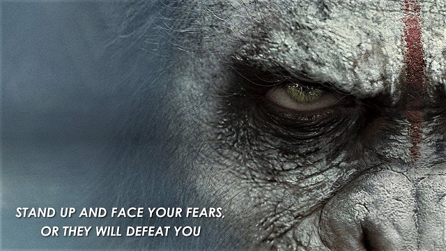 FACE YOUR FEARS